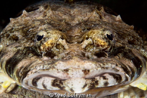 Crocodilefish by Iyad Suleyman 